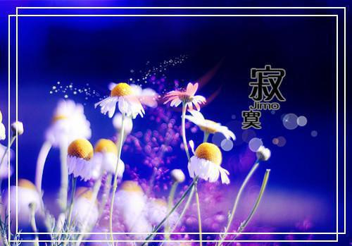 宋窈如霜是什么书 宋窈如霜免费章节在线阅读