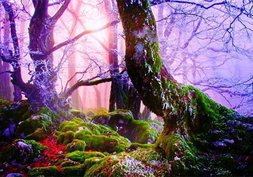 姜渺时聿最新章节免费 姜渺时聿第2章在线阅读