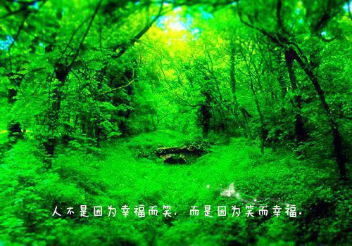 姜芷音岑修宸(姜芷音岑修宸)全文免费阅读无弹窗大结局_姜芷音岑修宸:姜芷音岑修宸小说最新章节列表(姜芷音岑修宸)