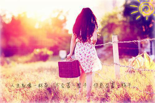 顾南笙陆洵免费阅读 顾南笙陆洵最新章节目录