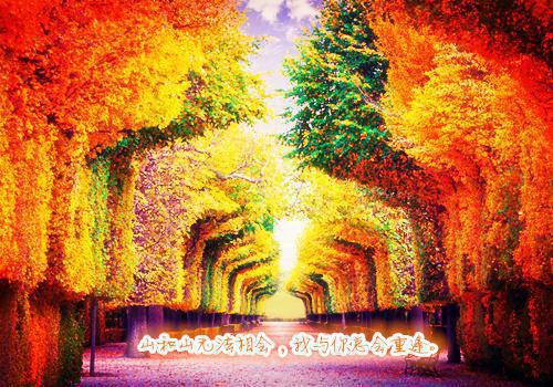 舒柠顾煜白小说最新章节 舒柠顾煜白免费阅读