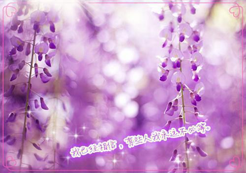 洛轻依宴屿白免费小说 洛轻依宴屿白完结版在线阅读