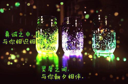 沈知景白洛洛小说全文阅读 沈知景白洛洛第三章