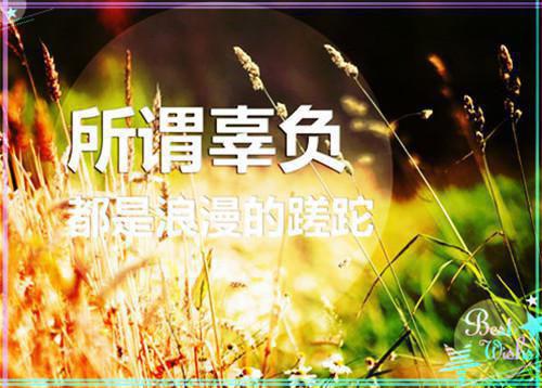 霜雪归来凤回巢免费阅读 顾栖音墨柯小说无弹窗