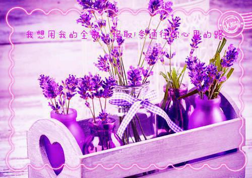 关清筠沈寒爵小说章节免费阅读 关清筠沈寒爵无弹窗