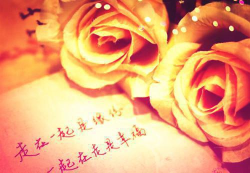 官阶，从亲子鉴定平步青云！免费阅读 李泽北宋婷婷小说无弹窗