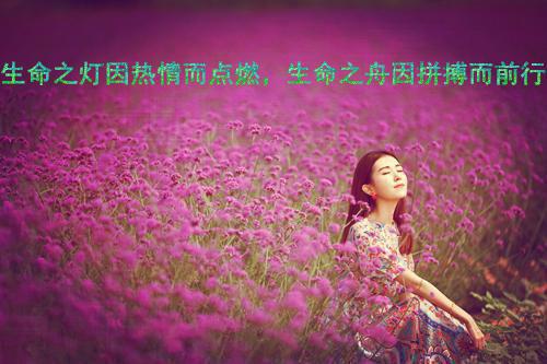 看破闯心全文免费阅读(看破闯心小说)全文免费江知之傅深读无弹窗大结局_ (江知之傅深)看破闯心小说免费江知之傅深读无弹窗最新章节列表（看破闯心小说）