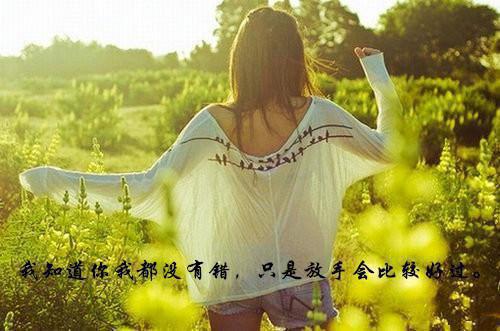 主角李娇娇沈念安小说免费阅读最新章节