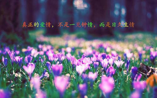 南织裴屿迟（裴屿迟南织）小说全文 南织裴屿迟小说免费阅读大结局