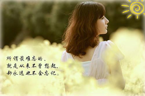 重生，洛家嫡女要和离全文目录 洛希白奕然洛悠南小说无删减阅读