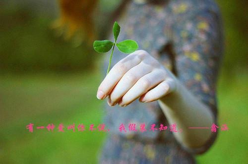 男朋友全网直播还母「万两金」结局在线阅读 宋文完整版免费小说