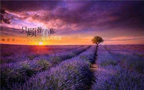 沈宇苏念玥小说名字免费 她用孩子逼我给初恋母亲捐肾章节阅读