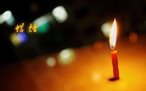 时茉贺征小说目录 时茉贺征完整免费版阅读