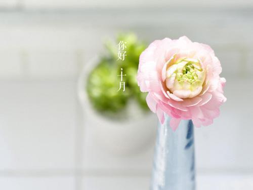 真千金死后，4个攻略对象全疯了最新章节目录 姜卿雪莫念钦莫云祯小说免费阅读