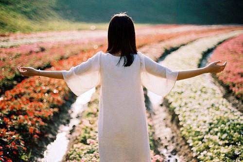 沈安笙韩峥川全文免费阅读(沈安笙韩峥川)全文免费阅读无弹窗大结局(沈安笙韩峥川小说免费)最新章节列表(沈安笙韩峥川)