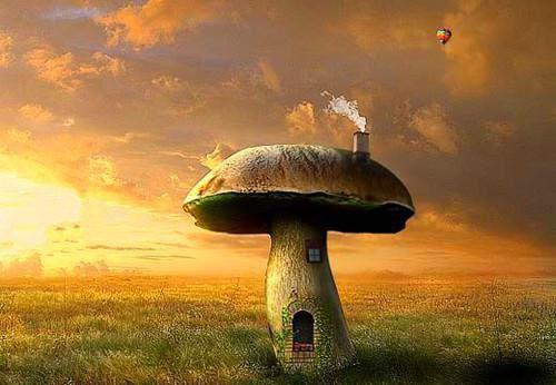 叶可一陆修远免费阅读 叶可一陆修远最新章节目录