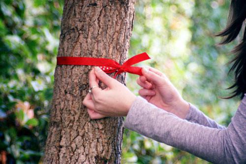 老吴刘志刚全文免费大结局 老吴刘志刚小说在线阅读