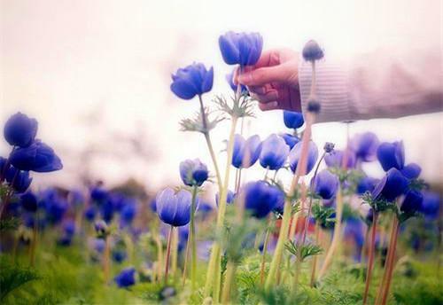 男女主角是周衍白瑶的小说 重生后我把闺蜜和渣男锁死在线免费阅读