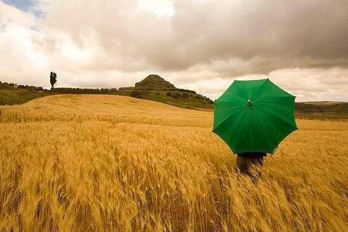 燕婉玄烨是什么小说 燕婉玄烨全本免费阅读