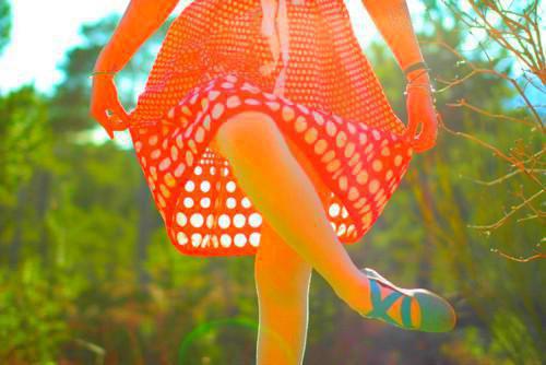 (抖音小说)宋清瑶陆深小说全文阅读免费