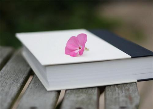 教师节,学生送我花里夹着我老婆的露骨情书免费阅读 林知北齐悦小说无弹窗