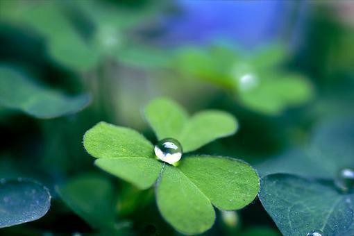 李泽北宋婷婷是哪部小说的主角 李泽北宋婷婷全文阅读