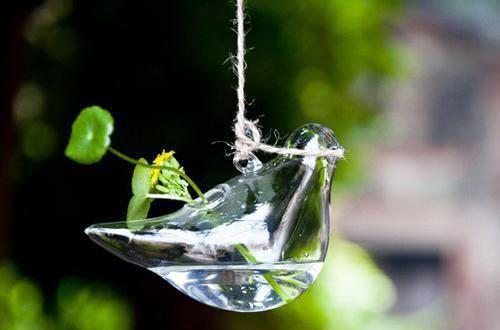 玉瑾顾少祀小说在线阅读 玉瑾顾少祀最新章节目录