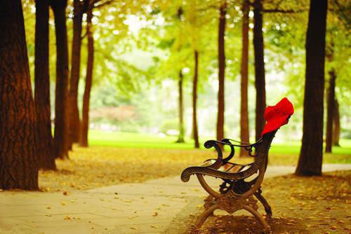 陈秀芳林翔林周敏顾博文全文最新章节正版小说免费阅读