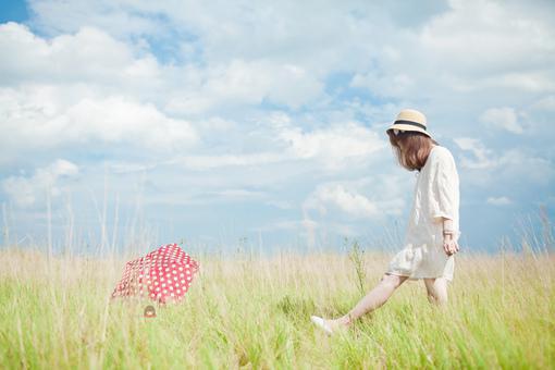 辛团团王圆圆傅景深傅景义小说阅读 辛团团王圆圆傅景深傅景义全文免费无广告