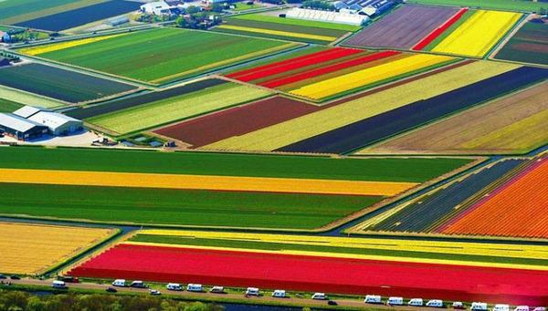 沈烬林清雪顾辞小说全文免费阅读 沈烬林清雪顾辞最新章节