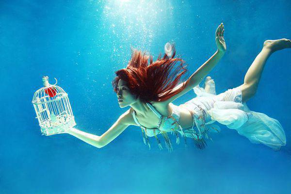 晏隋蒋琬勒然已完结(生命最后三年高冷总裁免费阅读)全文下载小说免费阅读_晏隋蒋琬勒然全章节小说目录阅读(生命最后三年高冷总裁免费阅读)