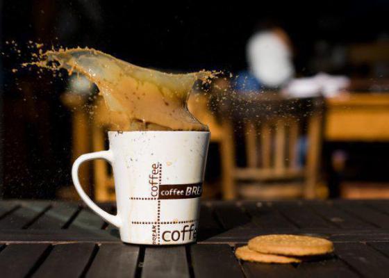 宋宴白芷苏浩辰小说叫什么名字 宋宴白芷苏浩辰全文免费阅读