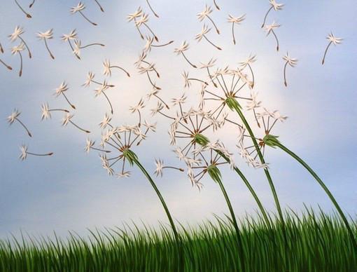 姜岁岁骆屿尘免费小说 姜岁岁骆屿尘完结版在线阅读