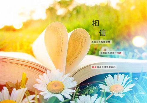 白雅君顾煜风完整版 白雅君顾煜风小说全文在线阅读