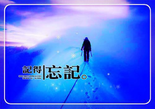 陈明骆晶晶是啥小说 陈明骆晶晶免费阅读无广告