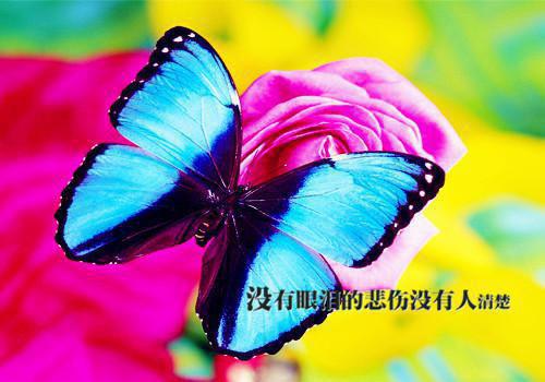 癫公癫婆历险记李晓洁刘明完整版全本免费阅读