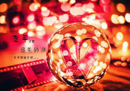 女儿车祸死在手术台上,老公却陪着失去爱猫的白月光免费阅读林真真许橙沈清珩小说第5章