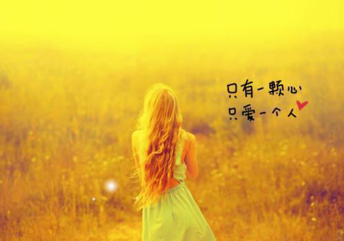 我回家后，王府的人都疯了陆直万合小说最新章节(在线阅读)