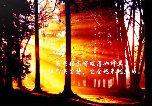 霸道大佬宠娇妻楚霆新书热荐免费小说虞明颜楚霆全文完整版-虞明颜楚霆小说全文无删减版免费阅读