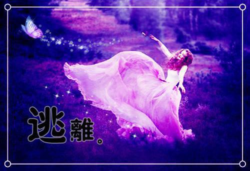 苏沐禾谢松寒许佳觅小说叫什么名字 苏沐禾谢松寒许佳觅全文免费阅读