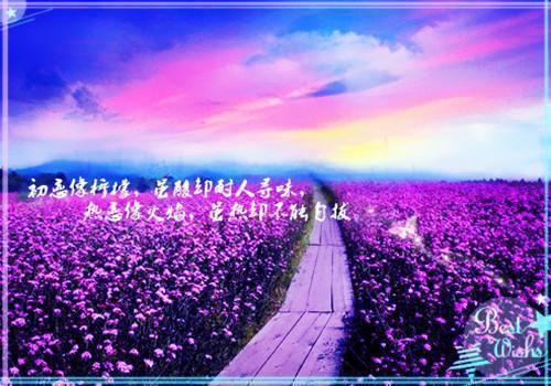 江月澜沈时烬小说免费 江月澜沈时烬第5章在线阅读