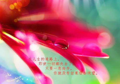 重生后，她被傲娇王爷宠上天苏韵锦秦晟by语墨凌霄1