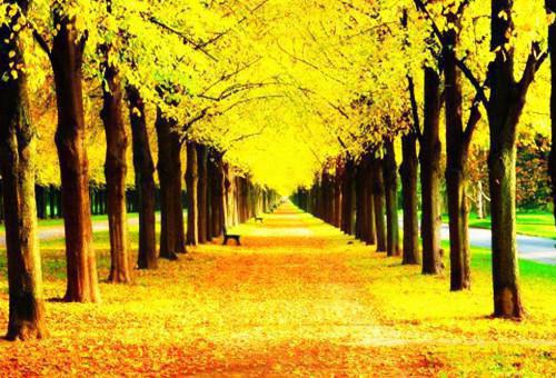 林昭妤小说在哪里看 林昭妤在线阅读第4章