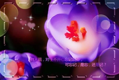 宋沐雨赵明诚免费 爸了个根的,做女人真难!完整版小说