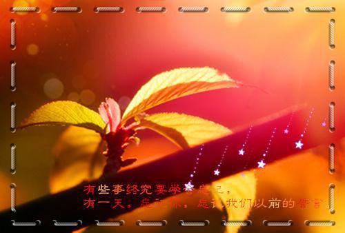 周楚暮萧玉李知玉柳青儿小说全文免费阅读 周楚暮萧玉李知玉柳青儿最新章节