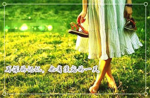 私密宠爱：婚后，我被宠上天全文目录 沈诗倪南小说免费阅读无广告