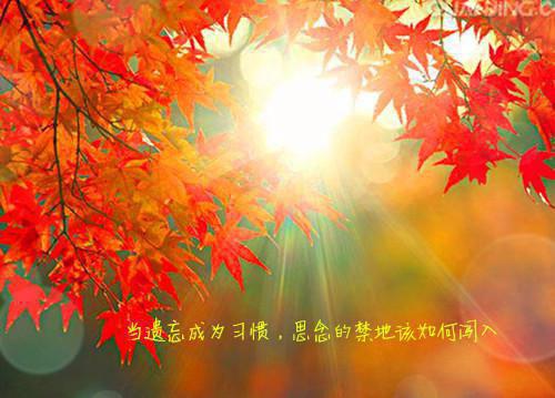 傅执秦安浔正版小说最新章节在线阅读-完结版小说（傅执秦安浔）