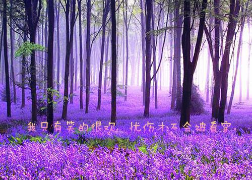 勇敢骑士林小姐无弹窗阅读 林悦贺嘉宸徐泽铭徐婉婉小说