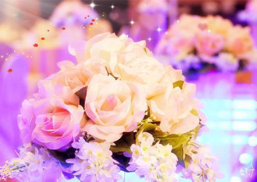 柏玉苓冥墨寒小说阅读 柏玉苓冥墨寒全文免费无广告