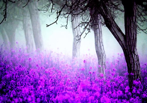 明桉魏泽骞全文免费阅读大结局 明桉魏泽骞小说最新章节阅读无弹窗